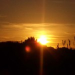 Caffarella tramonto